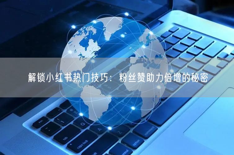 解锁小红书热门技巧:粉丝赞助力倍增的秘密