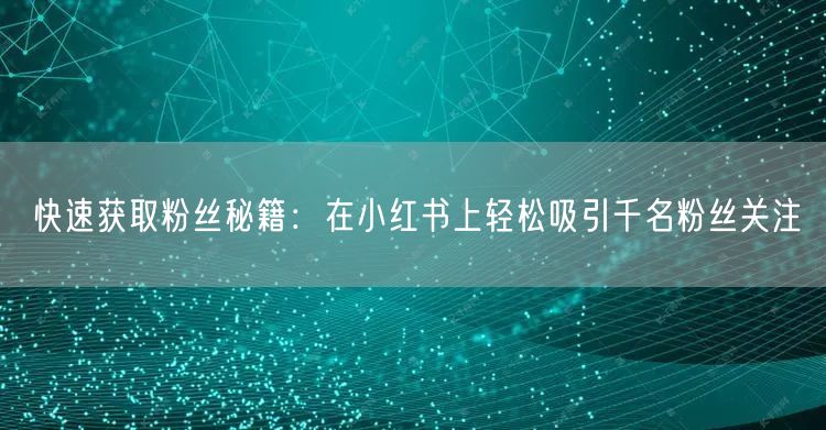 快速获取粉丝秘籍:在小红书上轻松吸引千名粉丝关注