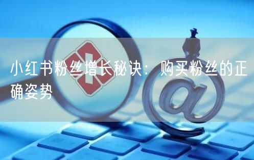 小红书粉丝增长秘诀:购买粉丝的正确姿势