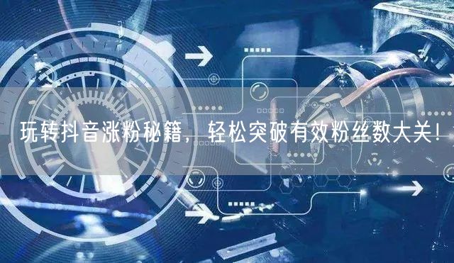 玩转抖音涨粉秘籍，轻松突破有效粉丝数大关！