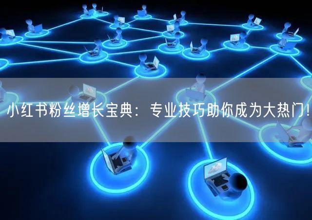 小红书粉丝增长宝典:专业技巧助你成为大热门!