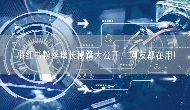 小红书粉丝增长秘籍大公开,网友都在用!