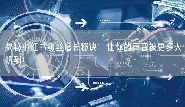 揭秘小红书粉丝增长秘诀,让你的声音被更多人听到!