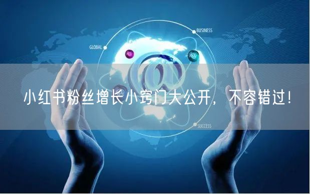 小红书粉丝增长小窍门大公开,不容错过!