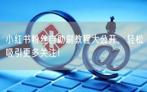 小红书粉丝自助刷教程大公开,轻松吸引更多关注!