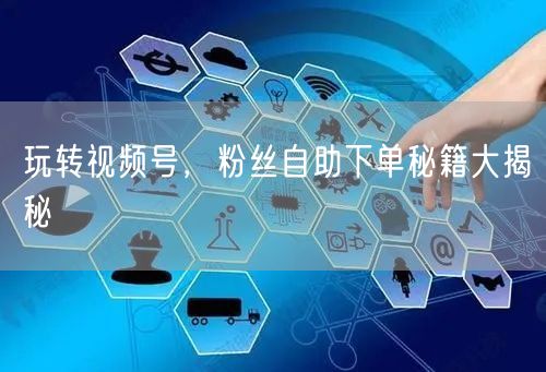 玩转视频号,粉丝自助下单秘籍大揭秘
