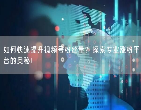 如何快速提升视频号粉丝量？探索专业涨粉平台的奥秘!